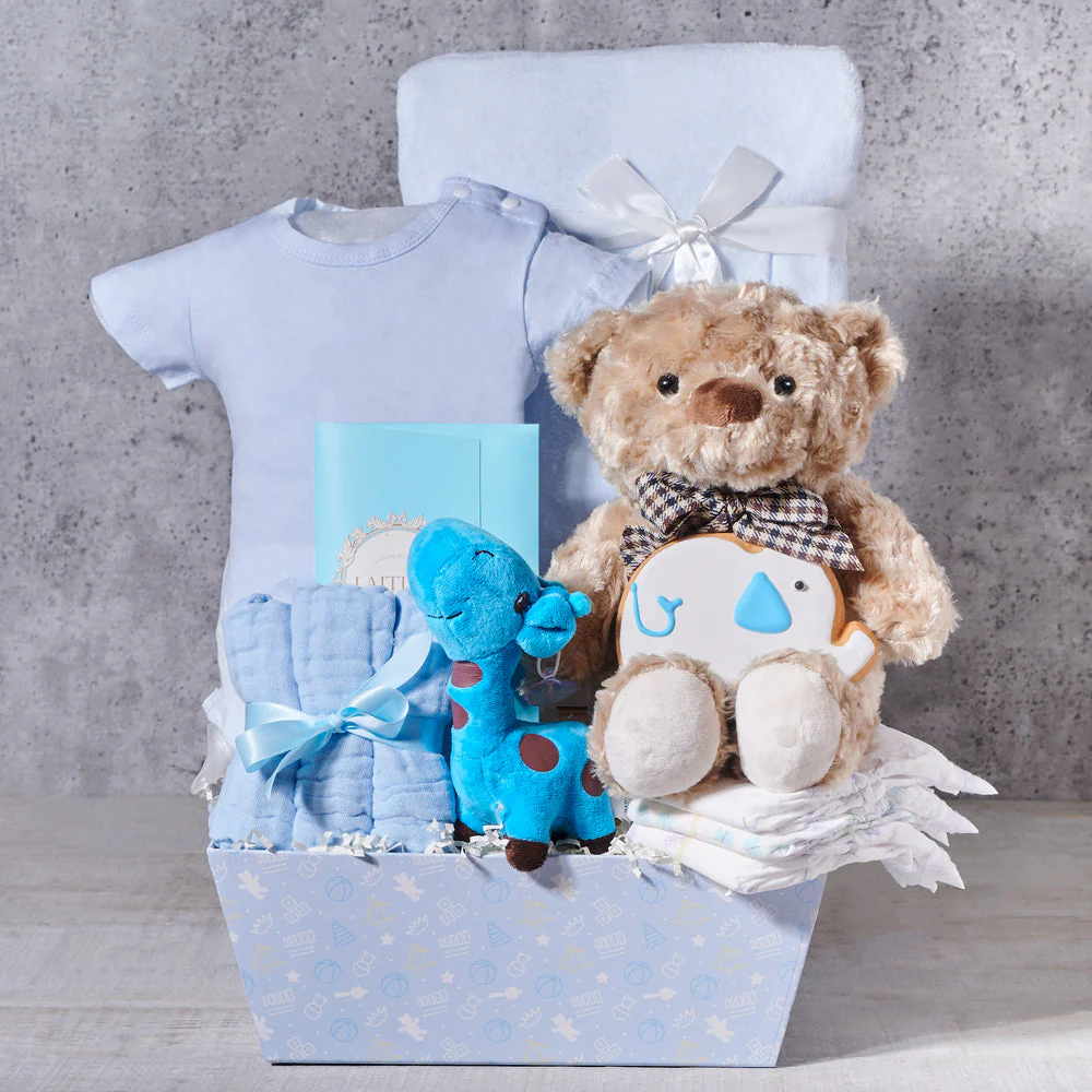 Plushies For a Baby Boy Gift Basket